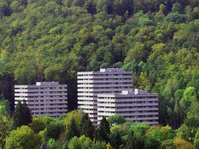 Ferienwohnung Waldoase II - Fewo mit Schwimmbad, Sauna und WLAN Bad Harzburg Exterior foto